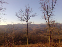 A Brzsny (Fot: Lachegyi Mt)